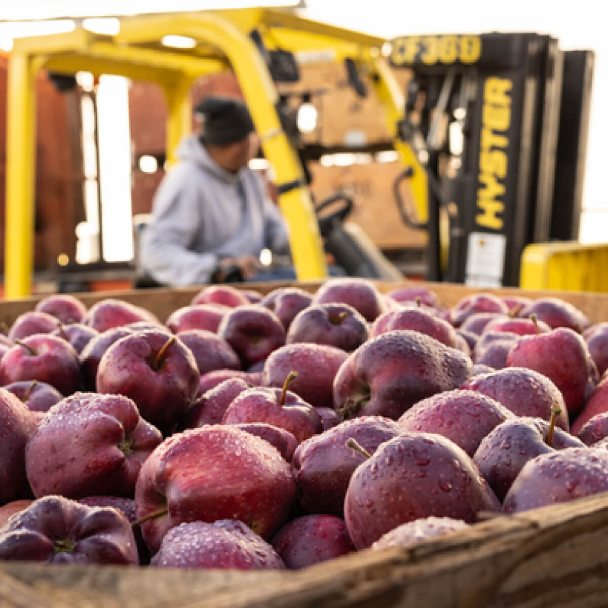 Brilliant George Orchards